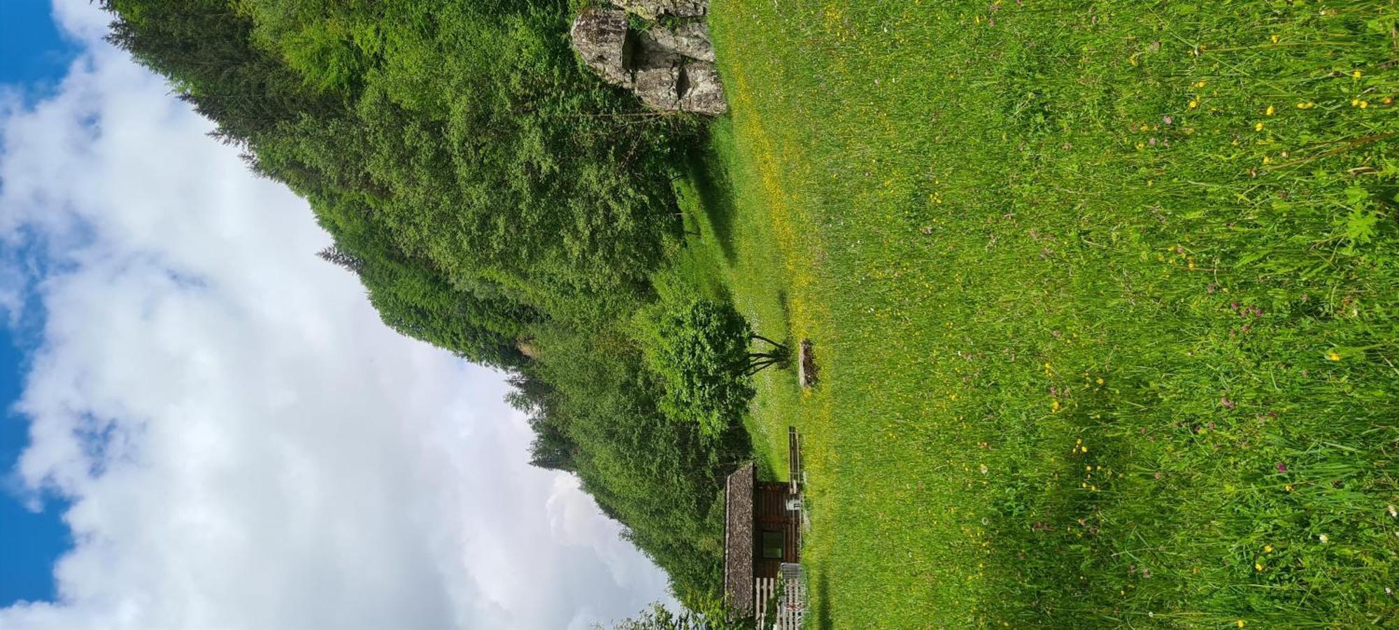 Haus Stehbock Villa Partenen Esterno foto